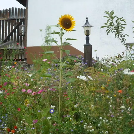 Blumenwiese 아파트