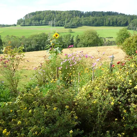 Blumenwiese 바일하임