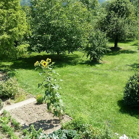 Blumenwiese 아파트