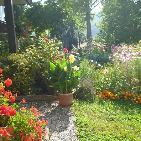 Blumenwiese 바일하임