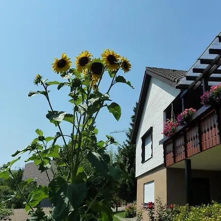 Apartment Blumenwiese Weilheim