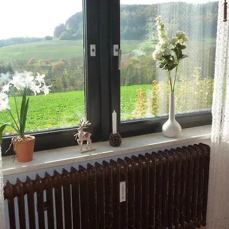 Blumenwiese 아파트 *