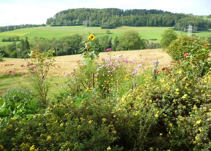 Blumenwiese Weilheim