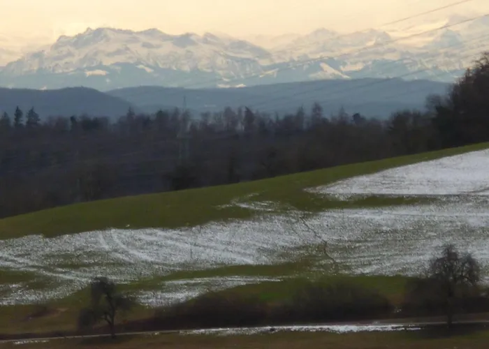 Blumenwiese 公寓 *