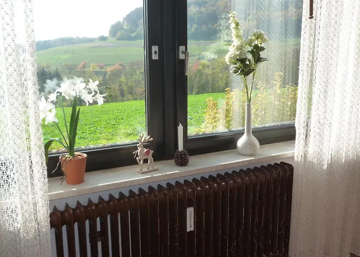 Blumenwiese 公寓 *